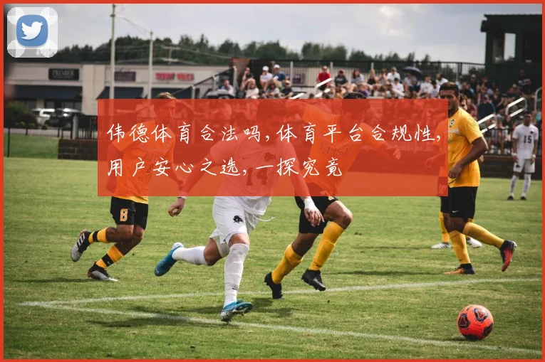 伟德体育合法吗,体育平台合规性,用户安心之选,一探究竟