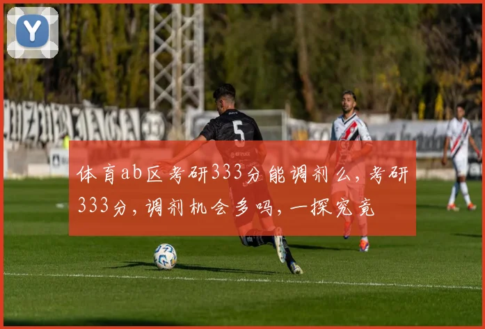 体育ab区考研333分能调剂么,考研333分,调剂机会多吗,一探究竟